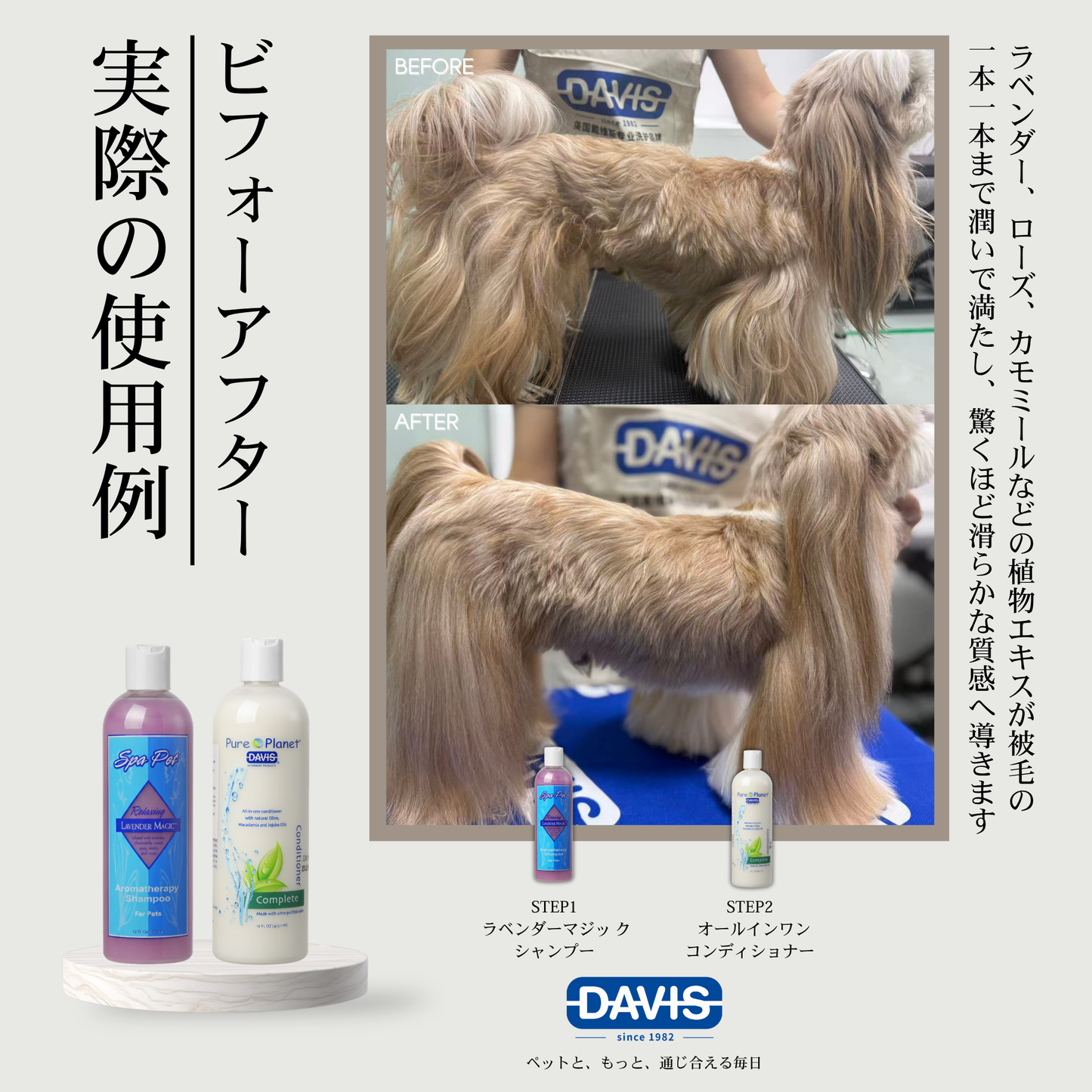 デイビス・スパ・ペットコレクション ラベンダーマジッ クシャンプー ・犬猫用シャンプー) (スパ・ラベンダー)