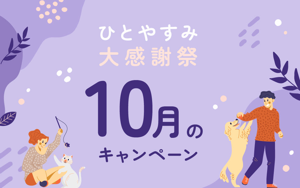 “打破感恩节”——我孩子的餐食比赛