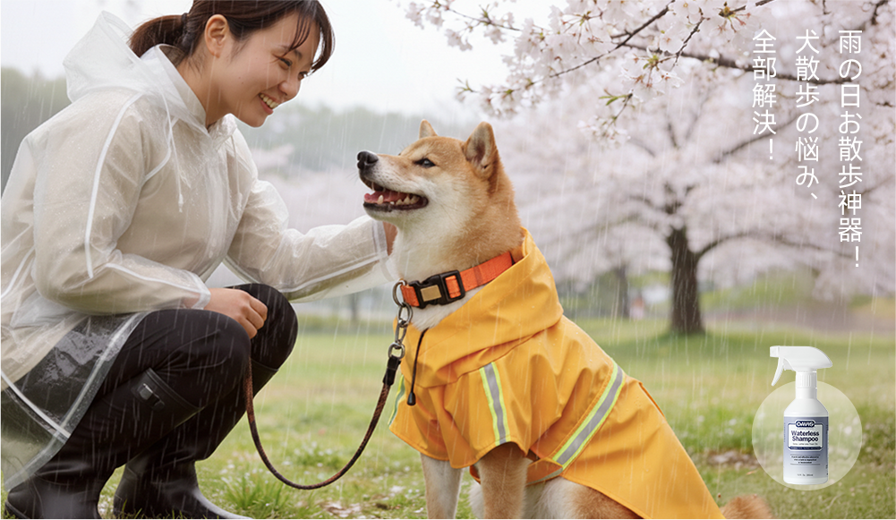 测试博客的五大成功策略