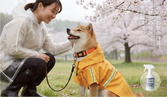 测试博客的五大成功策略