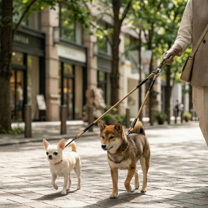 Zwlid 双头牵引绳