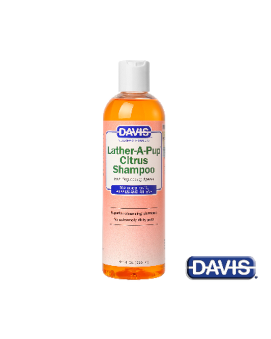 【Davis】ラザーアパップ シトラスシャンプー - 355 ml